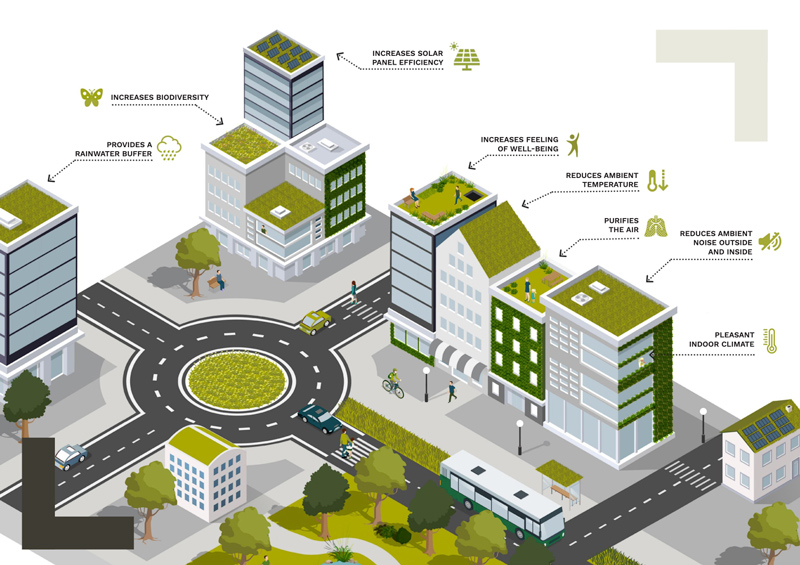 Green roof in a future proof city