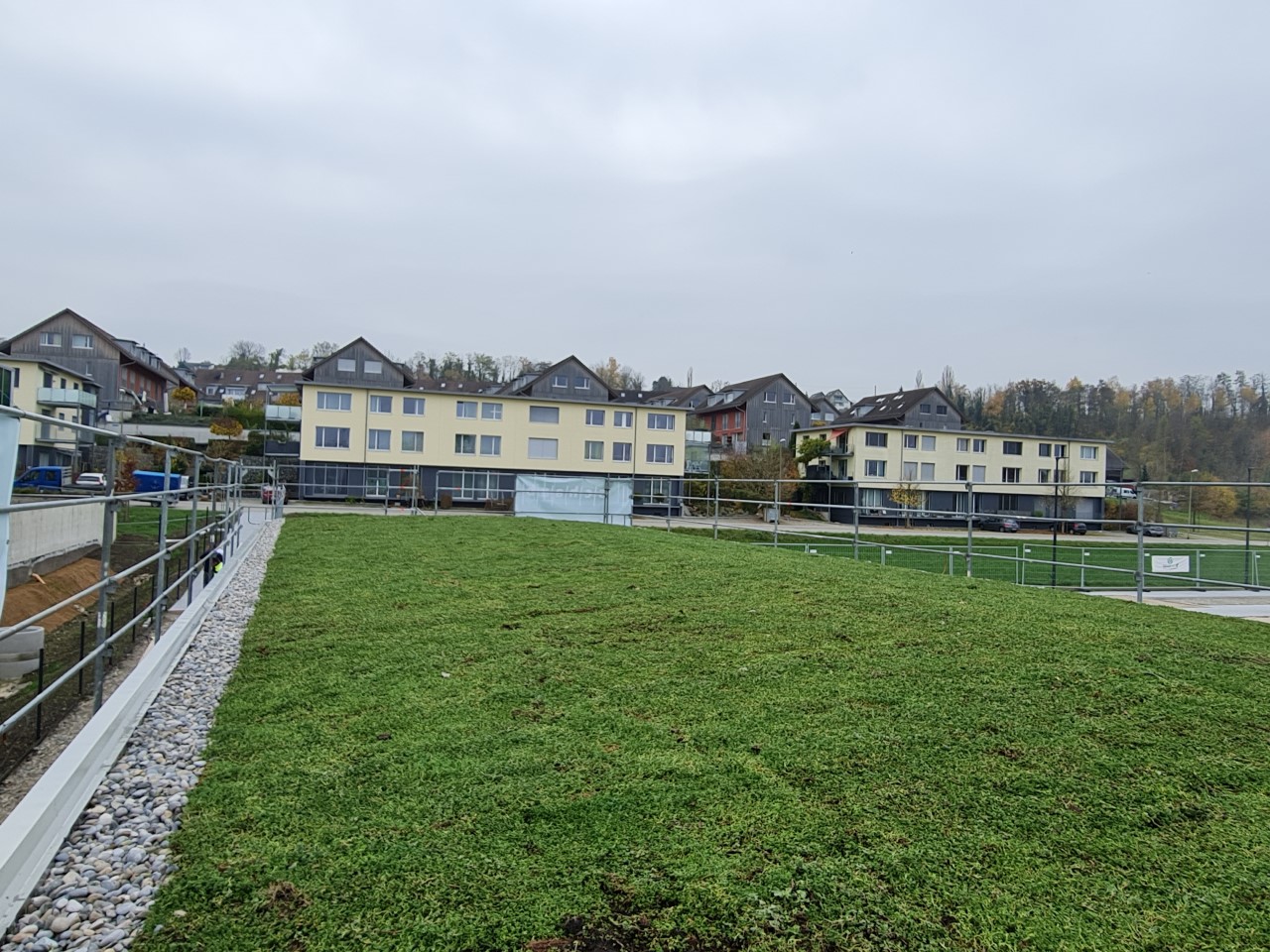 Sempergreen Gründach in Andelfingen