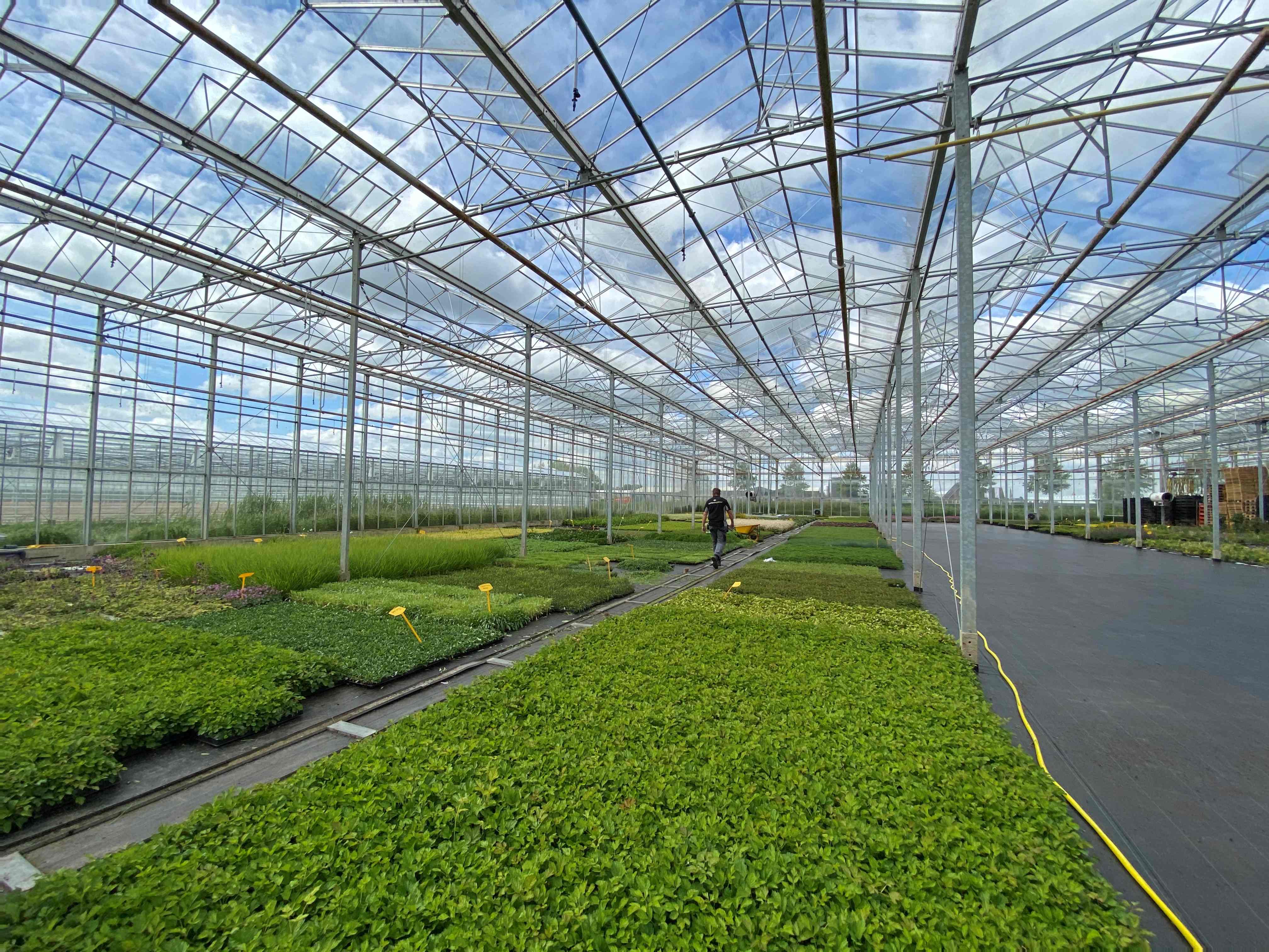 Los jardines verticales se cultivan previamente en estas nuevas instalaciones