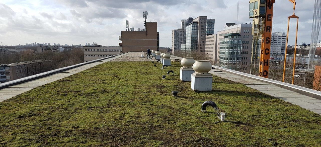 Dit onderzoek is in Nederland het meest omvangrijke en langdurige energieonderzoek naar groene daken tot op heden