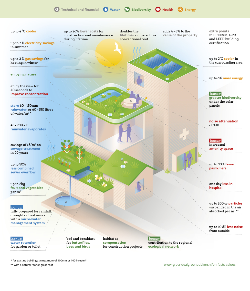 Green Roof and Rooftop Garden Facts Infographic made by Green Deal Groene Daken