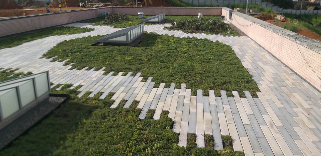 Green roof design with footpath