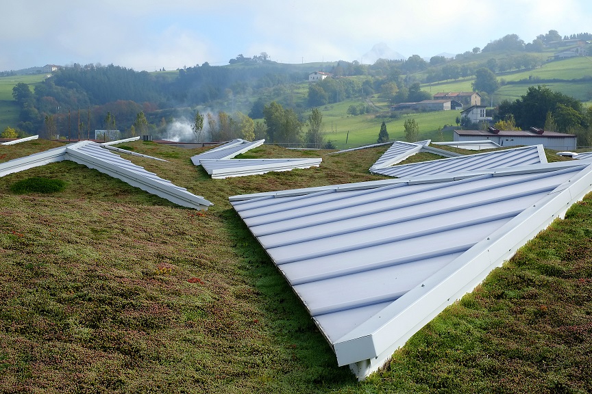 Los tepes pre-cultivados también son ideales para cubiertas inclinadas