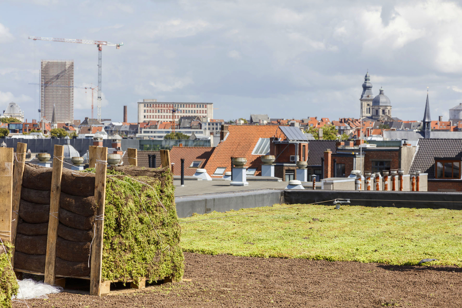 Palet met opgerolde vegetatiematten op een plat dak