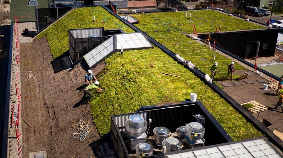 roofers placing vegetation blankets on a sloped roof