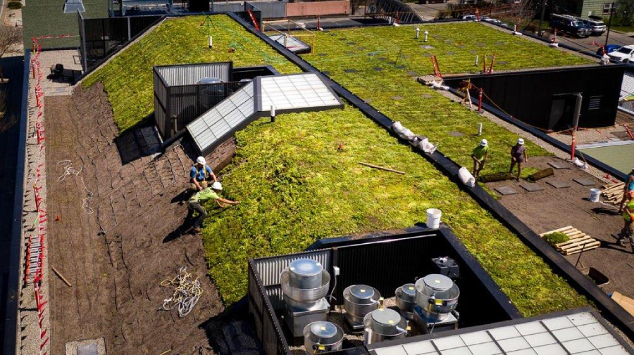 Des couvreurs installent des couverts végétaux sur un toit en pente.