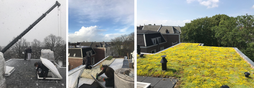 Voorbeeld van een groendakinstallatie in de sneeuw en het prachtige resultaat in het voorjaar