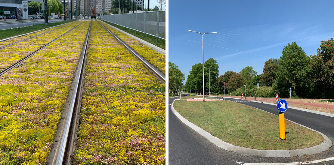 Voorbeeld van een groene trambaan en een groene middenberm