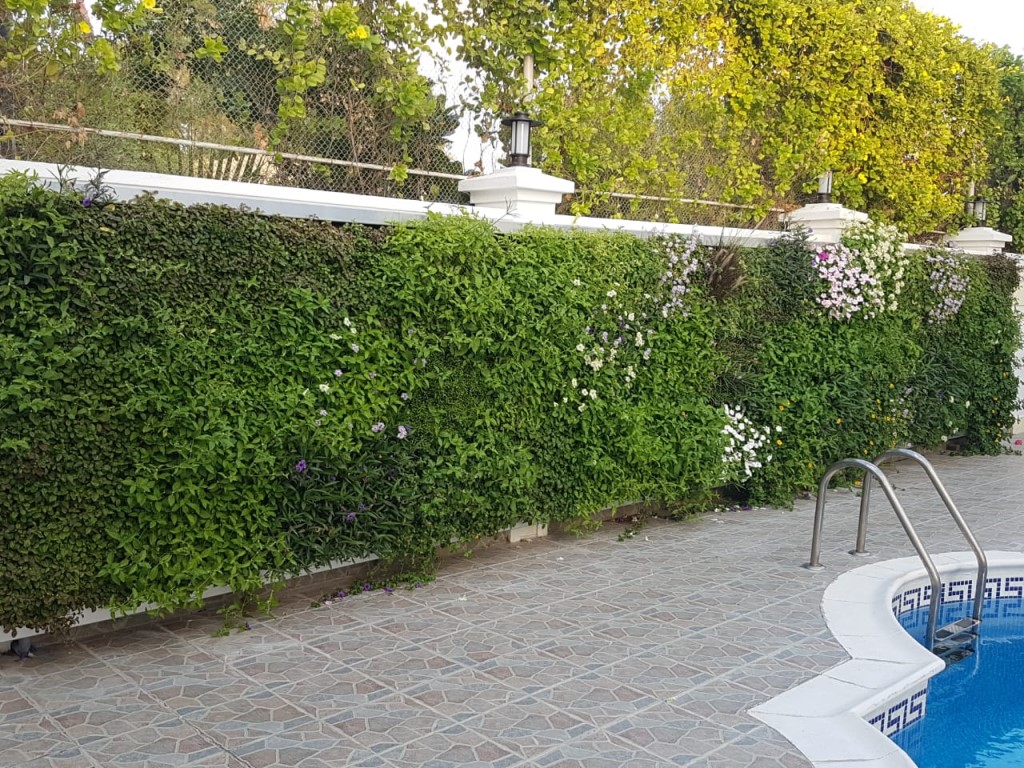 Outdoor SemperGreenwall in Dubai