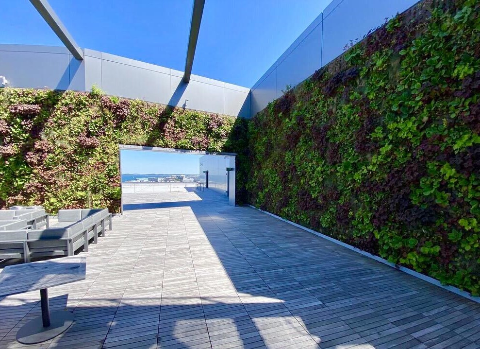 Outdoor SemperGreenwall close to the sea, Boston MA