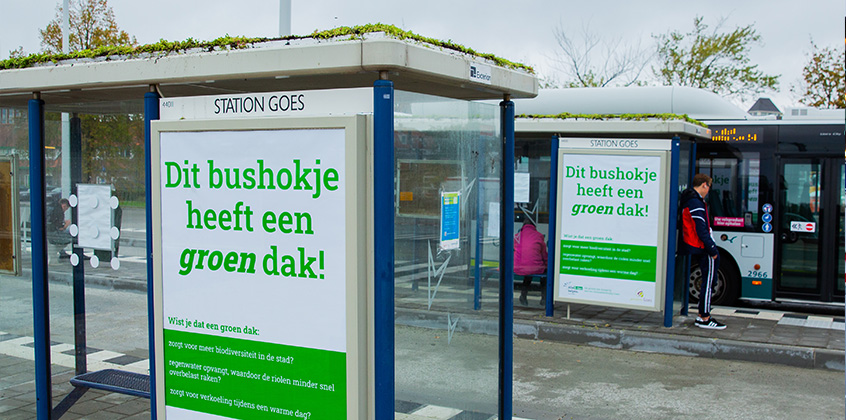 Bushokjes Goes Bushokjes Goes