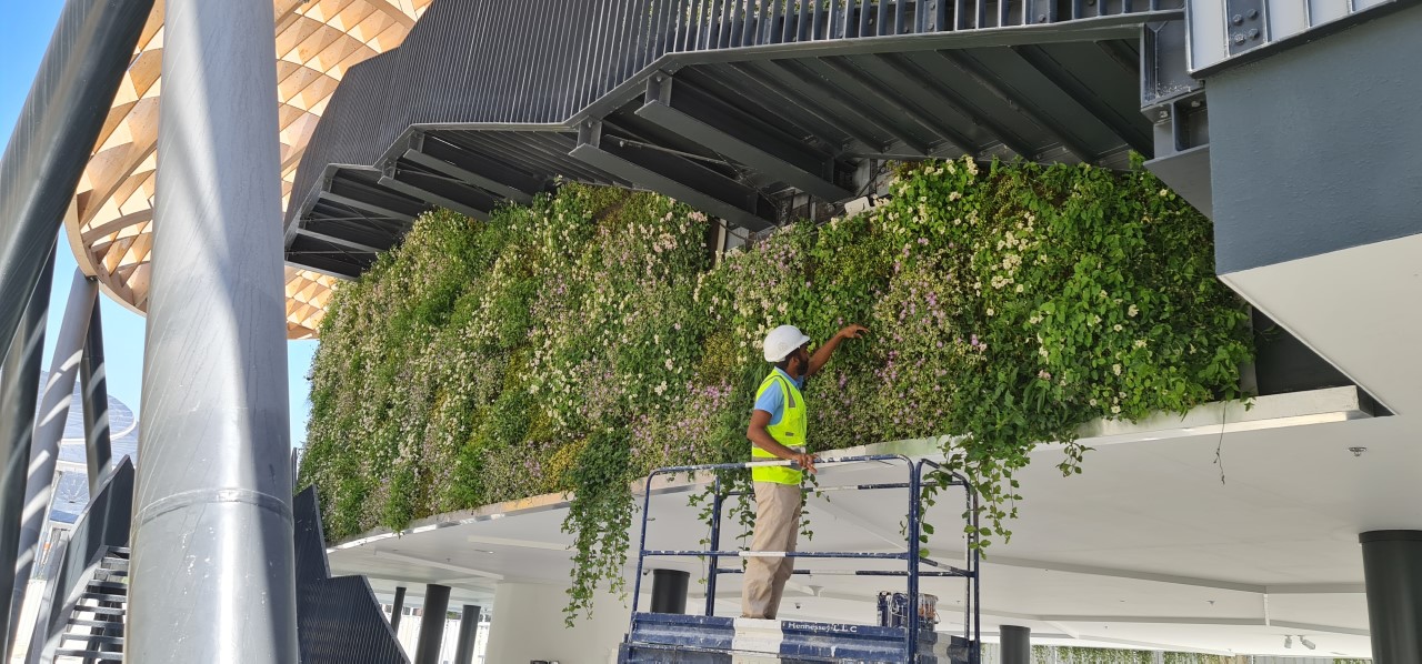 De SemperGreenwall bestaat uit een zorgvuldig samengestelde mix van buitenplanten