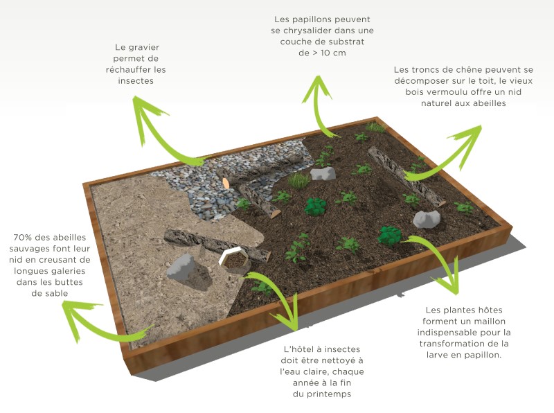 Aperçu des composants d'un pack de biodiversité de Sempergreen