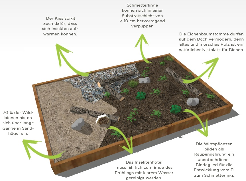 Übersicht Komponenten des Sempergreen Artenvielfaltpakets