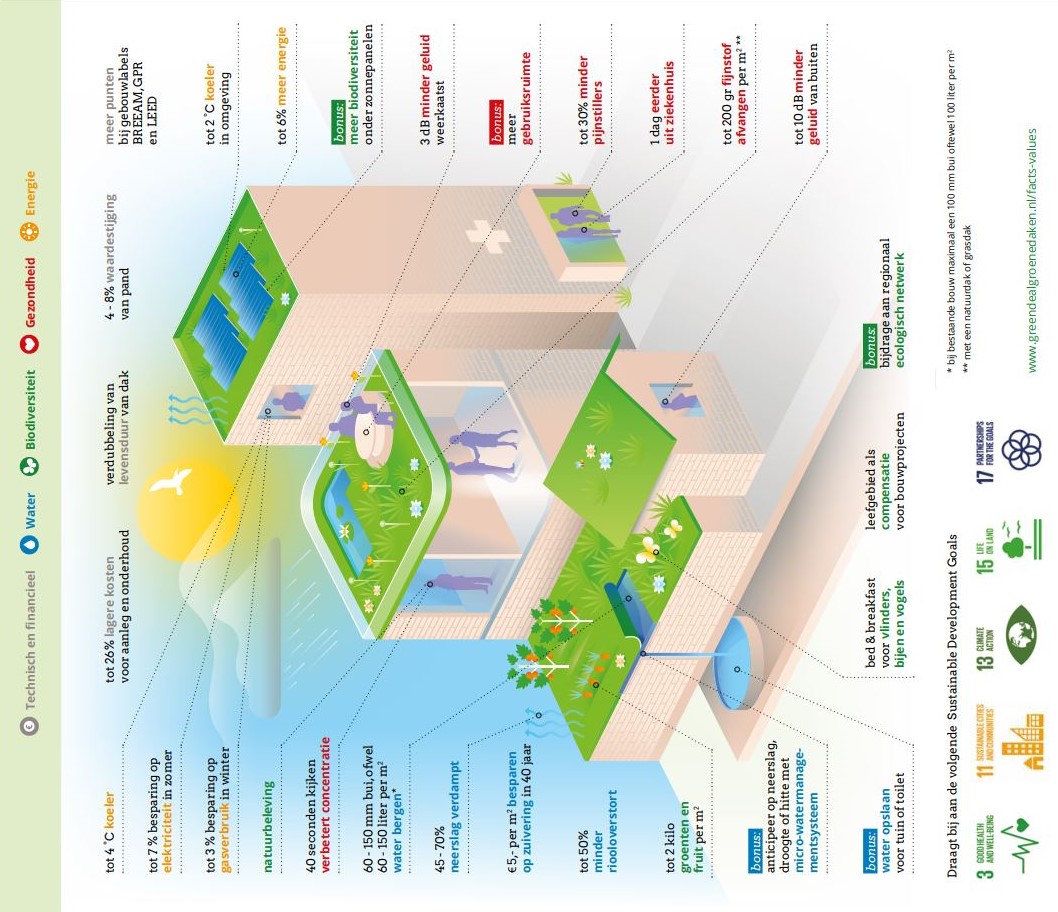 Green deal groene daken