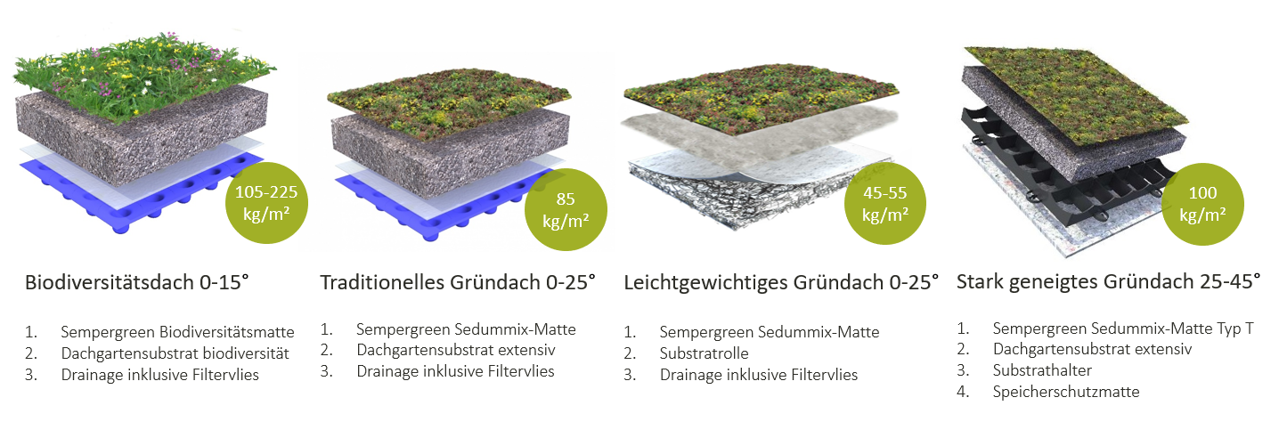 Verschiedene Sempergreen Gründachsysteme 