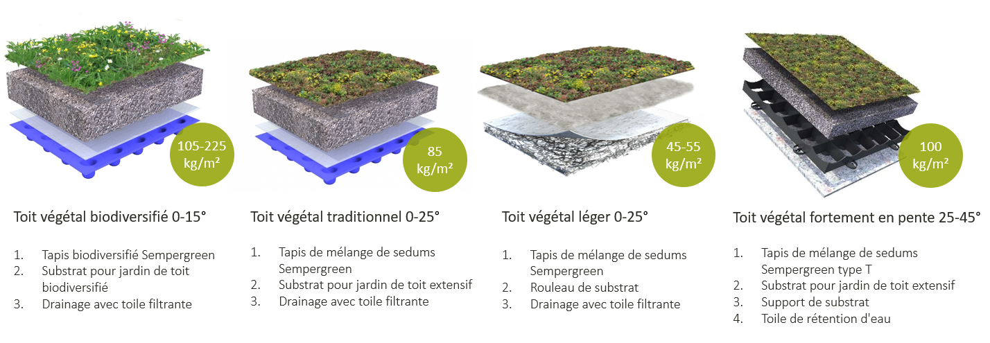 Les différents systèmes de toitures vertes de Sempergreen