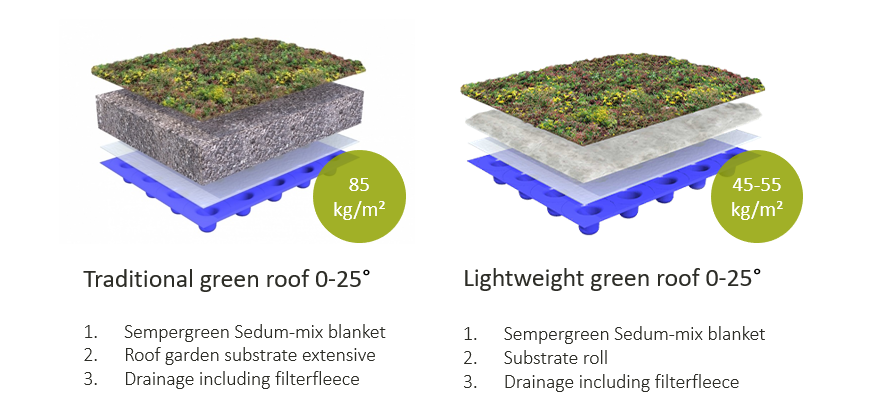 Traditional and lightweight Sedum roof system structures 