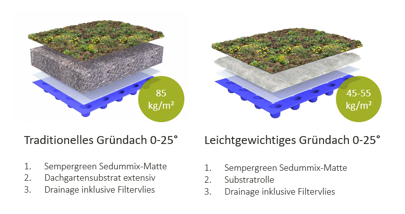 Dachbegrünung Leichtdach und herkömmlichte Dachbegrünung