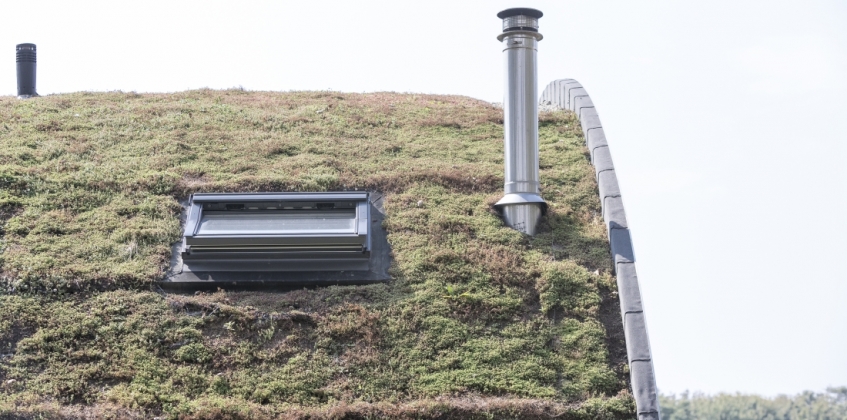 Sloped green roof detail 