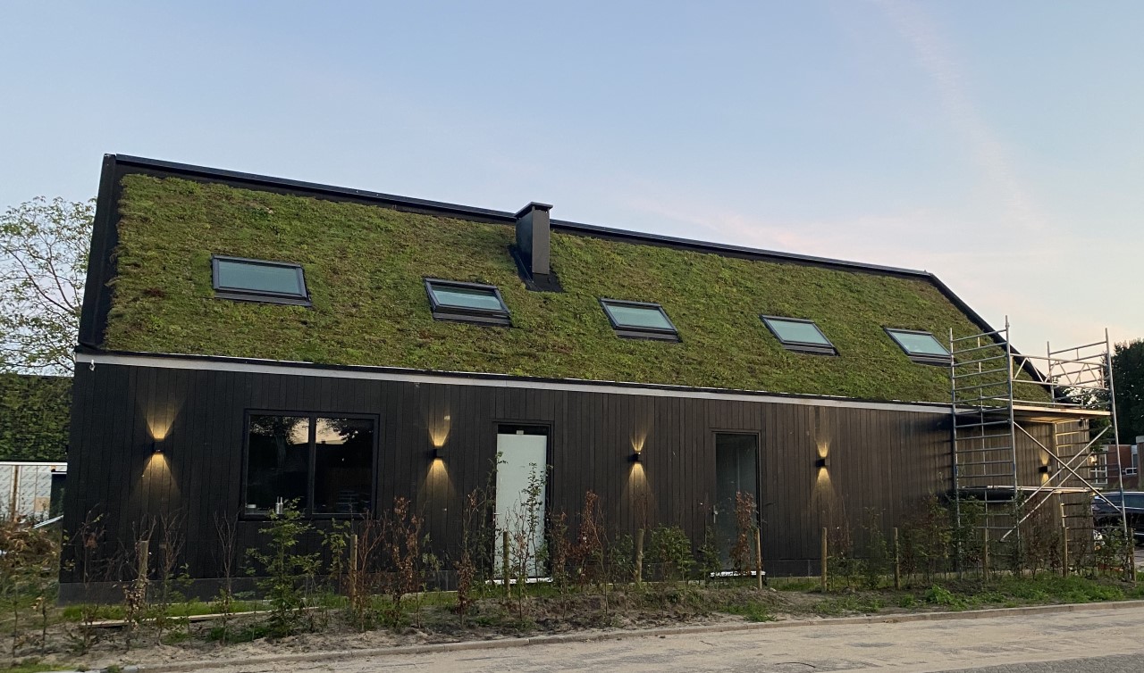 Toit de sedum en pente avec panneaux solaires