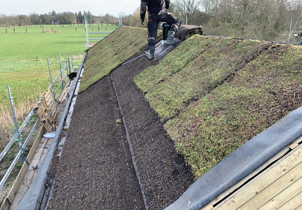 The installation of the Sedum-mix blanket type T on a steeply pitched roof The installation of the Sedum-mix blanket type T on a steeply pitched roof
