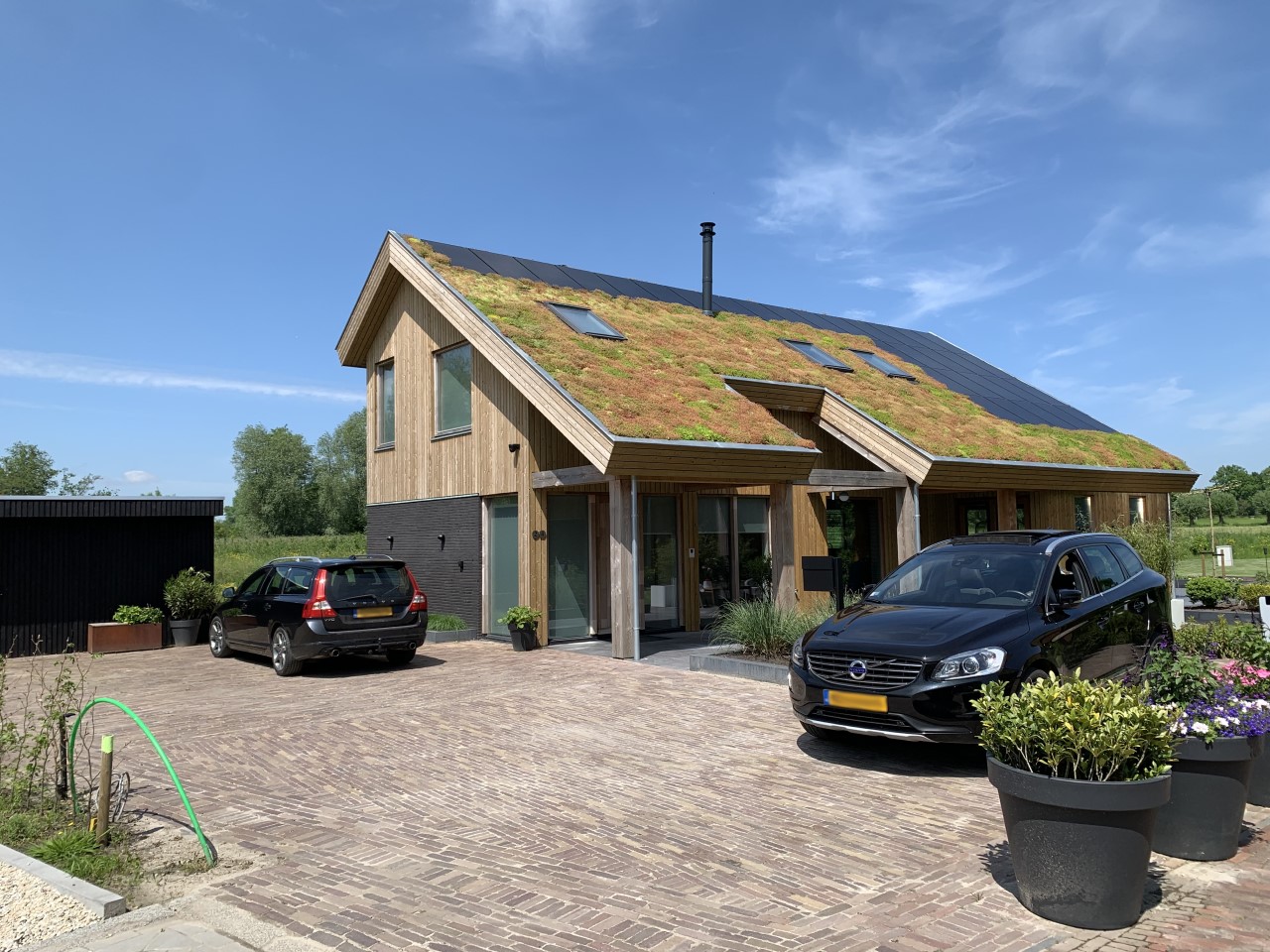Dutch project: steeply pitched green roof with solar panels