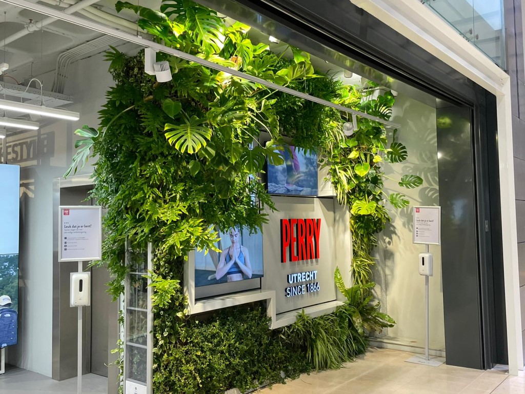 A green and healthy interior that supports the brand and takes up little space