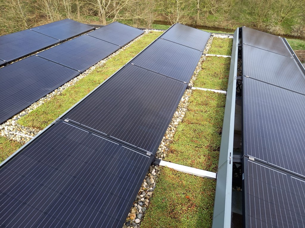 Benefit from a higher return on your solar panels with a green roof