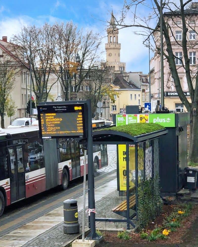  „Zielony przystanek” to zwycięski projekt w dzielnicowej puli Budżetu Obywatelskiego Opola.