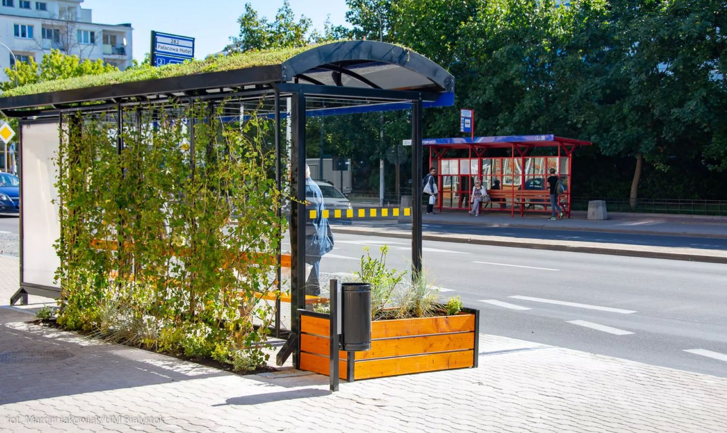 Zielony przystanek autobusowy w Białymstoku. 