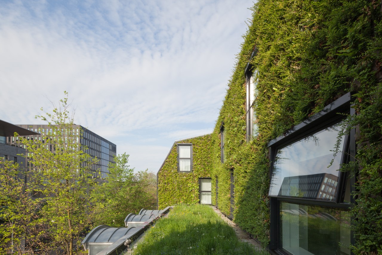 Green outdoor SemperGreenwall in combination with a green roof