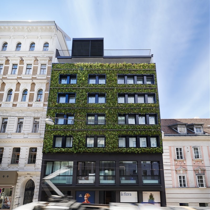 Striking SemperGreenwall at the Hotel Gilbert in Vienna