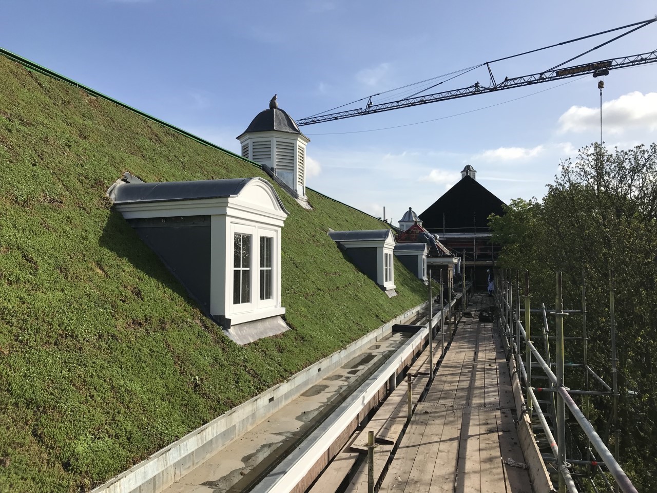 Groendak op monumentaal schoolpand