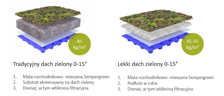 Systemy zielonych dachów