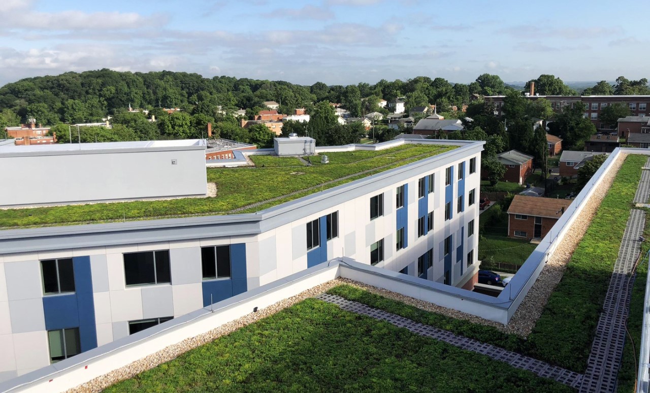 Stormwater management on the roof