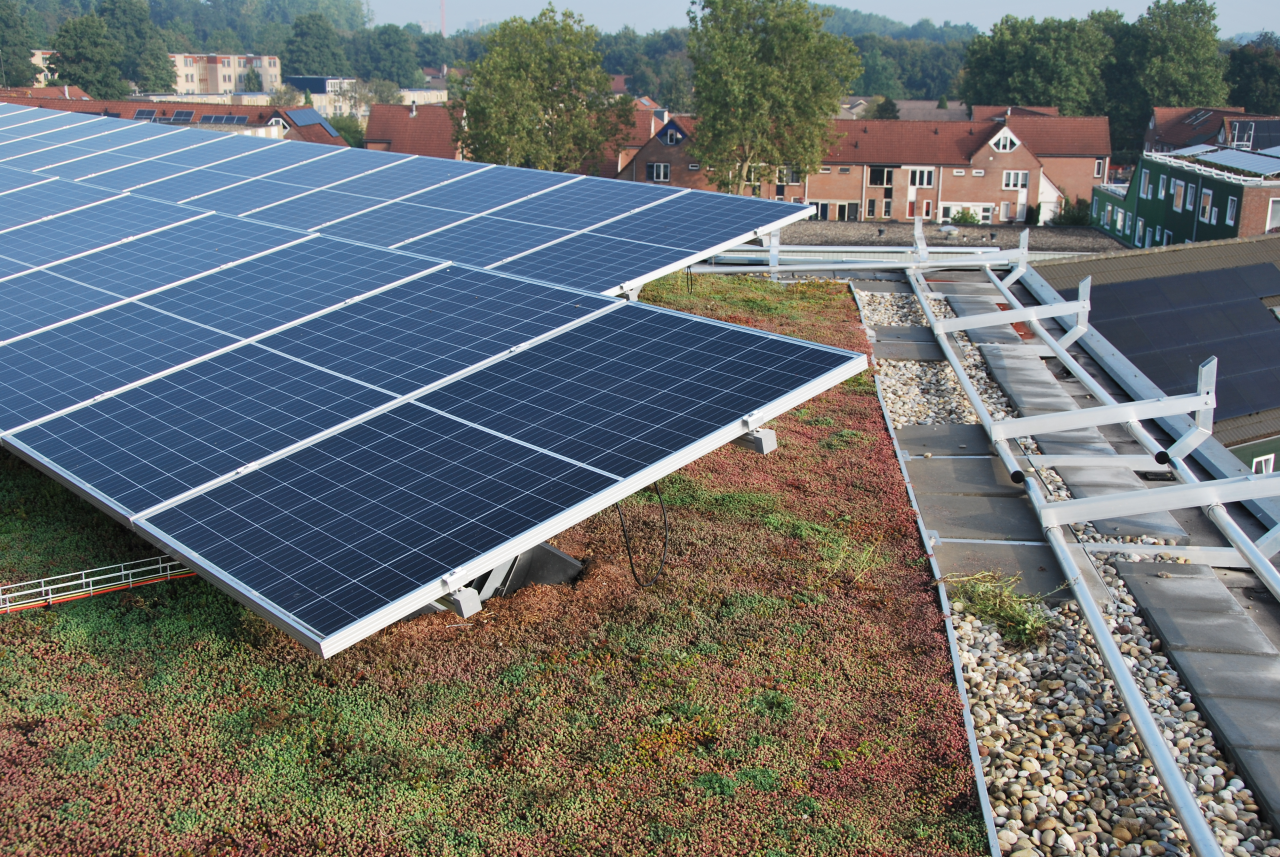 Un toit végétal avec panneaux solaires