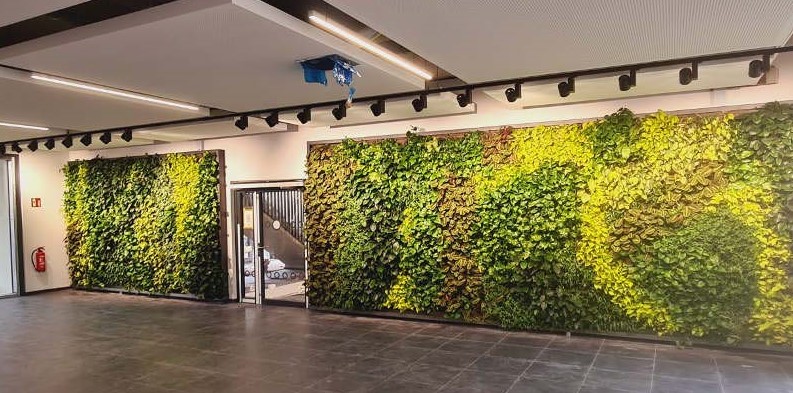 Weiter im Gebäude wurde eine SemperGreenwall Indoor angebracht.