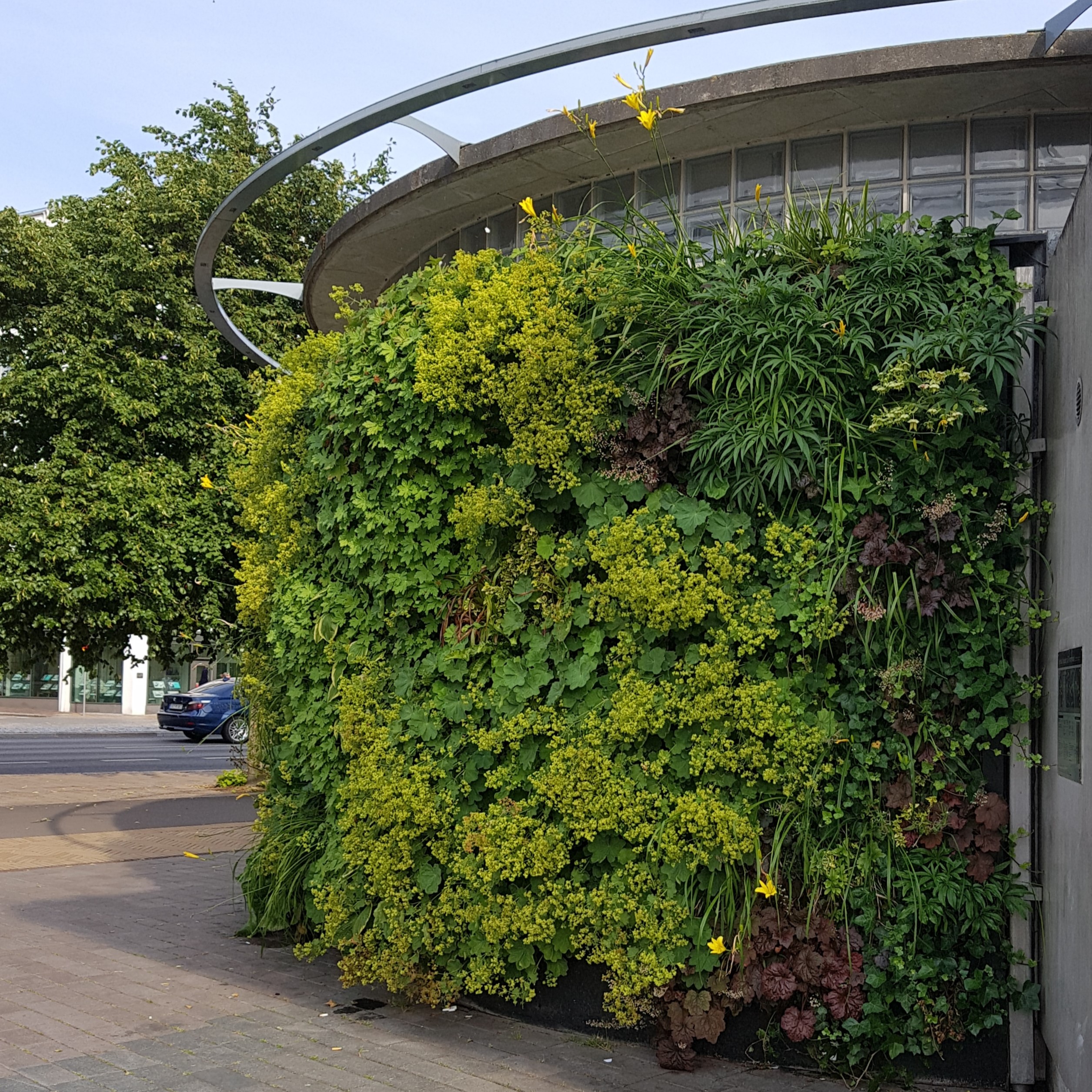 SemperGreenwall Helsingborg