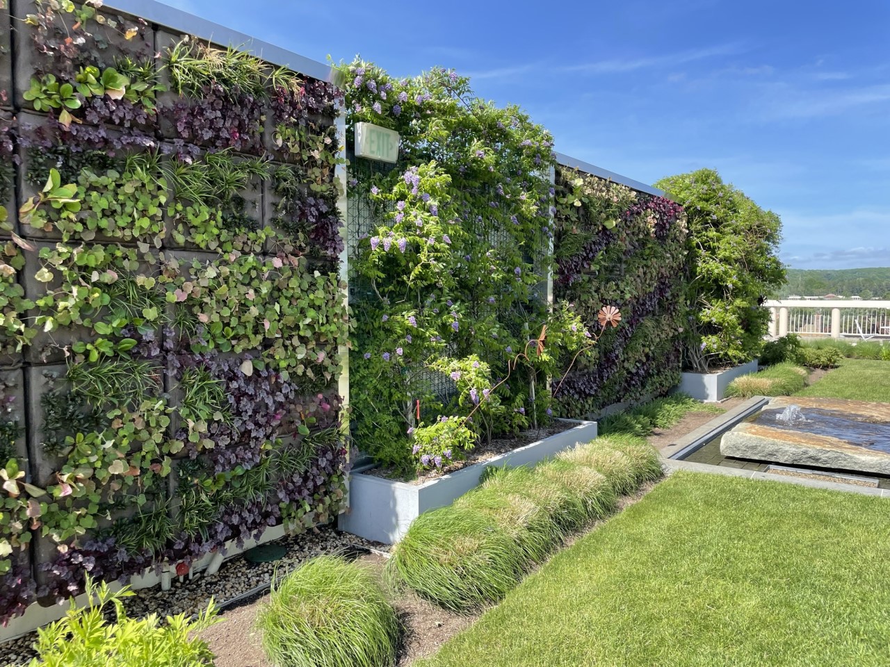 Toit vert et façades vertes au Middleton Community Health Center, Connecticut