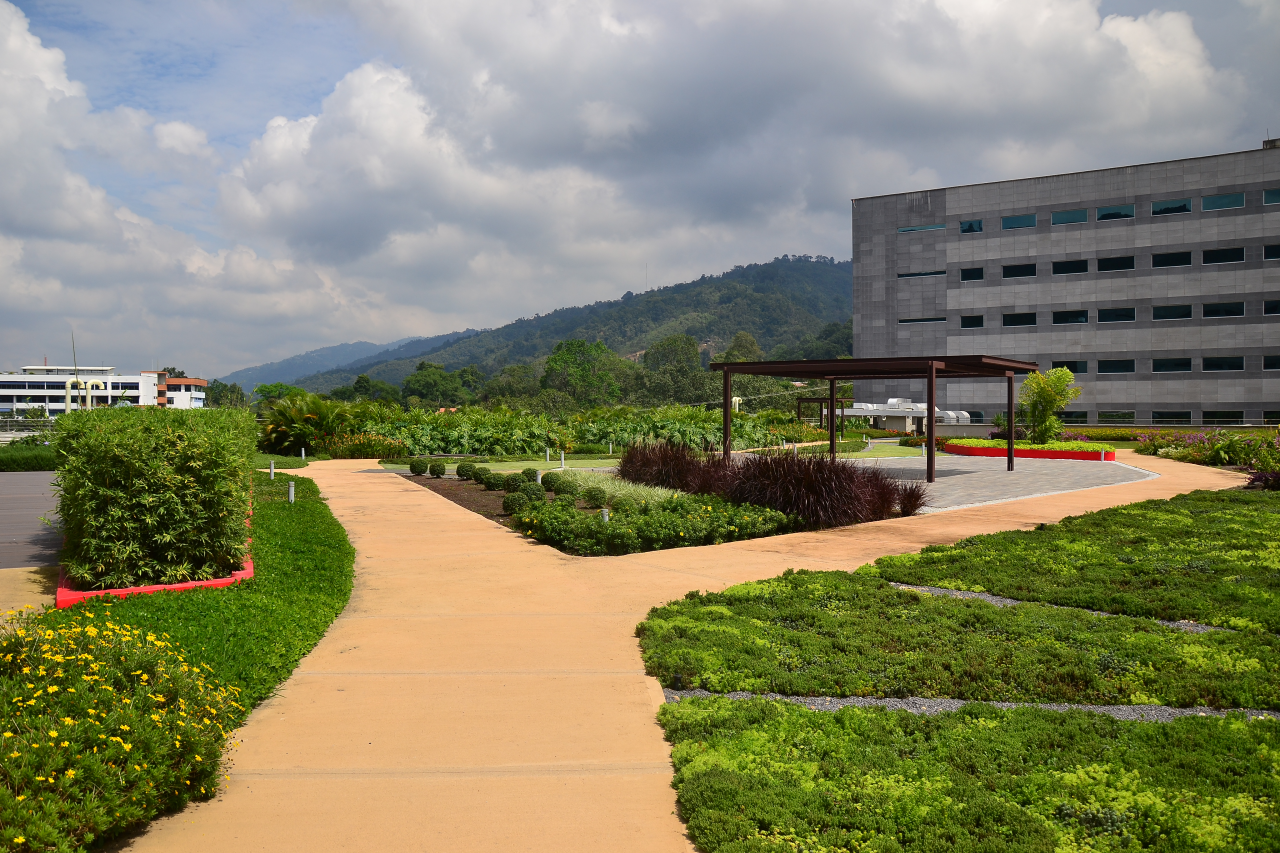 Roof terrace on a healthcare clinic promotes patient wellbeing