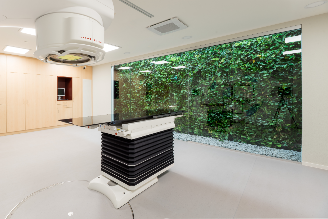 Mur végétal intérieur vert derrière une vitre dans un centre de radiothérapie