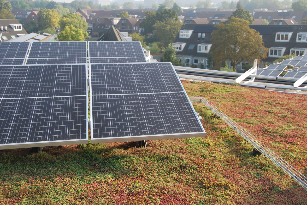 Groendak en zonnepanelen: de ideale combinatie