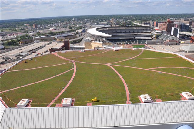 Green roof on the Target Center in Minneapolis