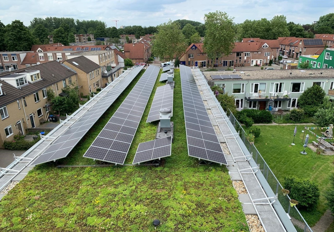 Beispiel eines Sempergreen Solar Sedumdaches Beispiel eines Sempergreen Solar Sedumdaches