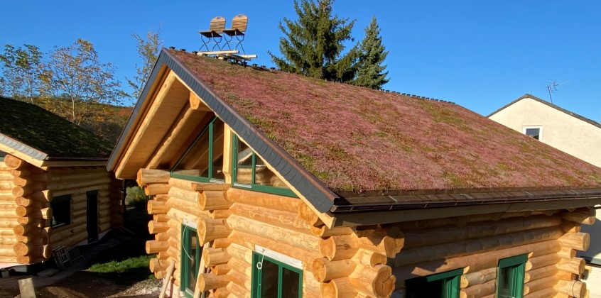 Schrägdachbegrünung mit an der anderen Seite des Daches Solarmodule