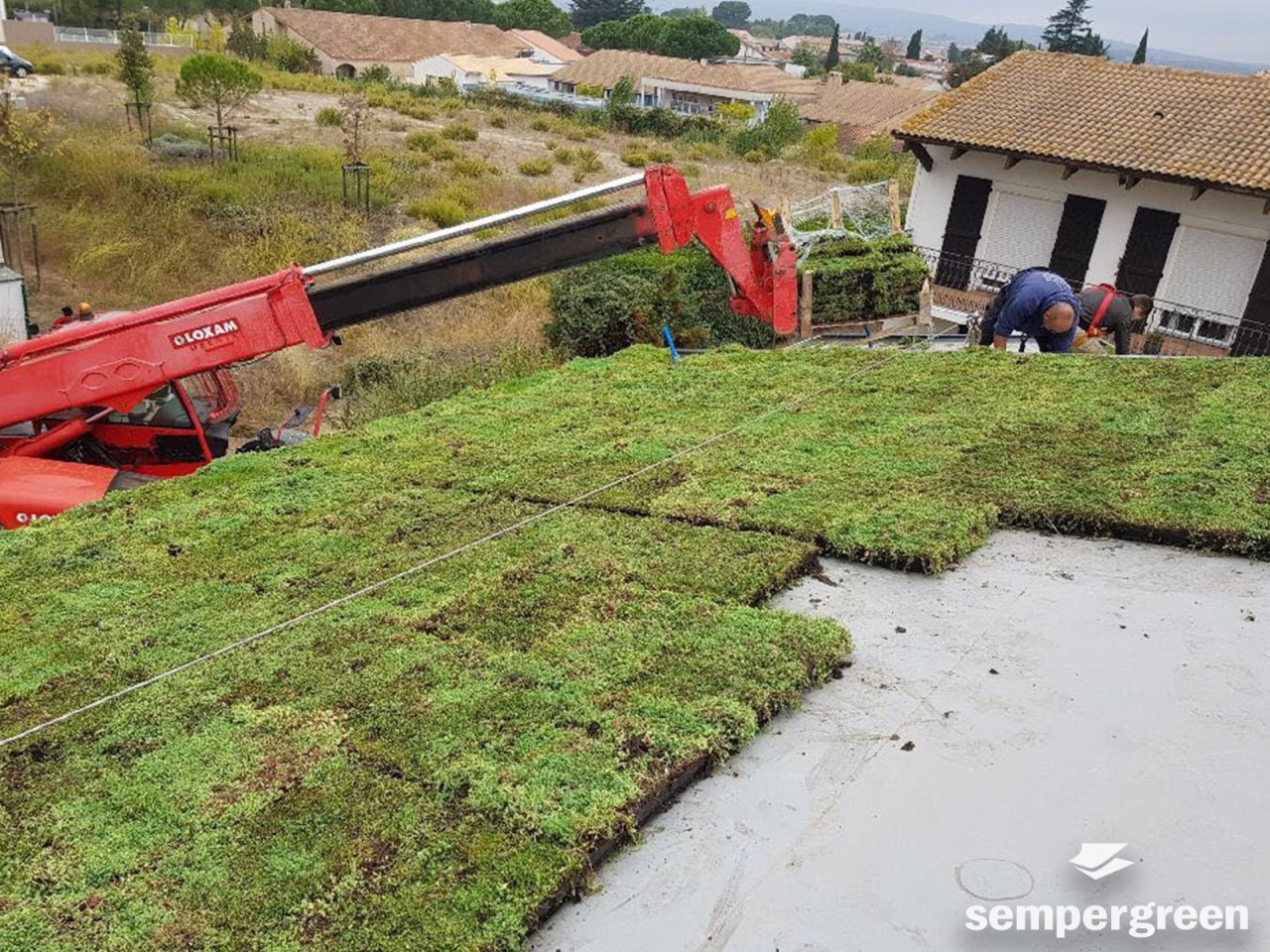 Anlage eines Gründachs mit Sempergreen Sedum-Kassetten