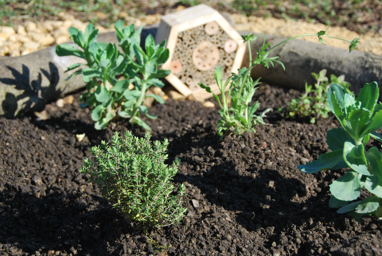 Het Sempergreen Biodiversiteitspakket Small