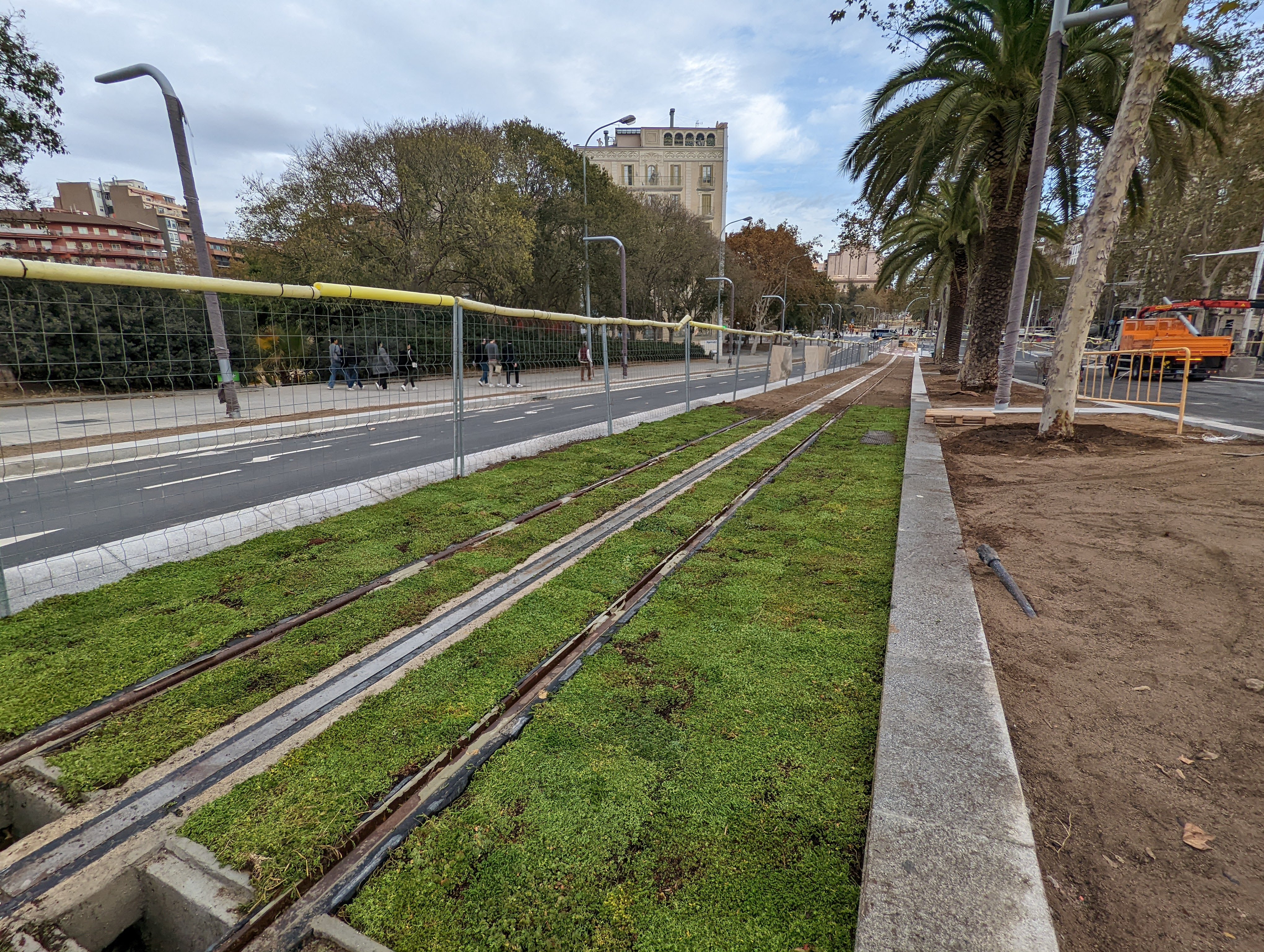 Tranvia en Barcelona con tepes de sedum