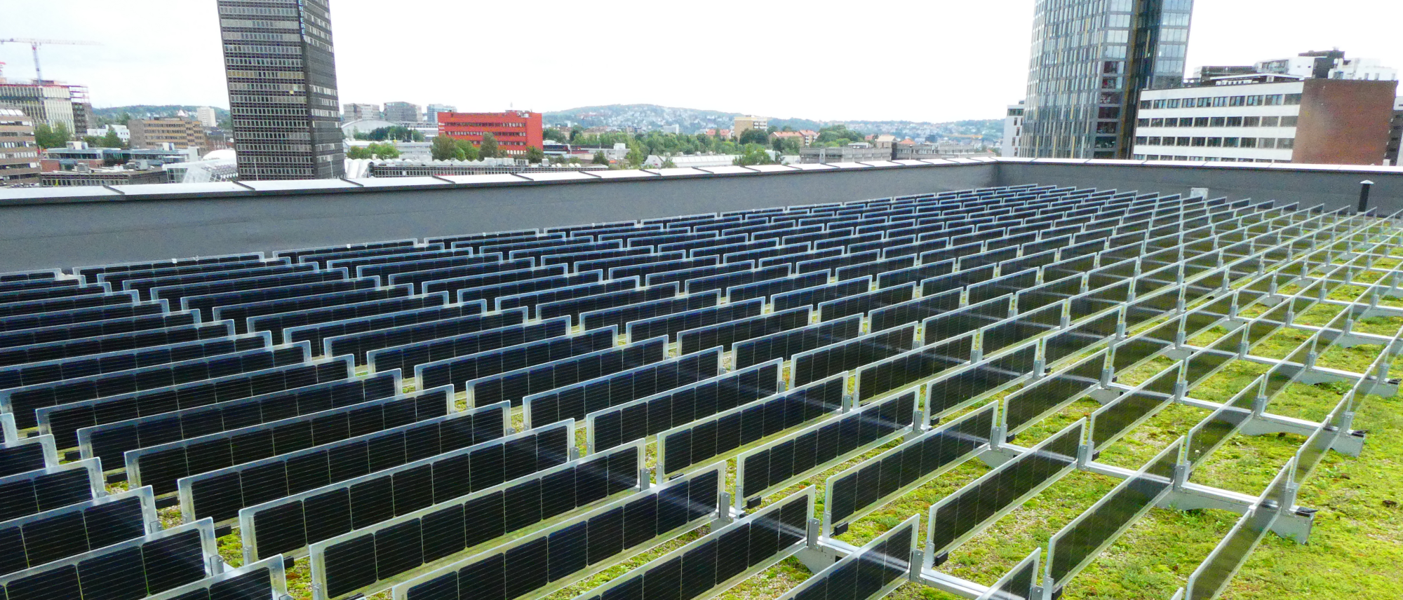 Groendak met verticale bifacial zonnepanelen